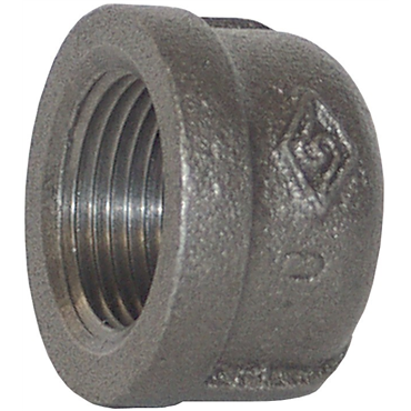 Dixon Valve & CouplingMICAP100